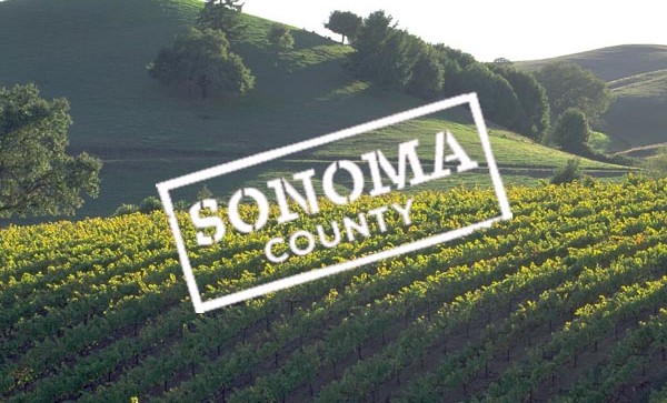 Sonoma County Voter Success Leads To Largest GMO-Free Zone In U.S.