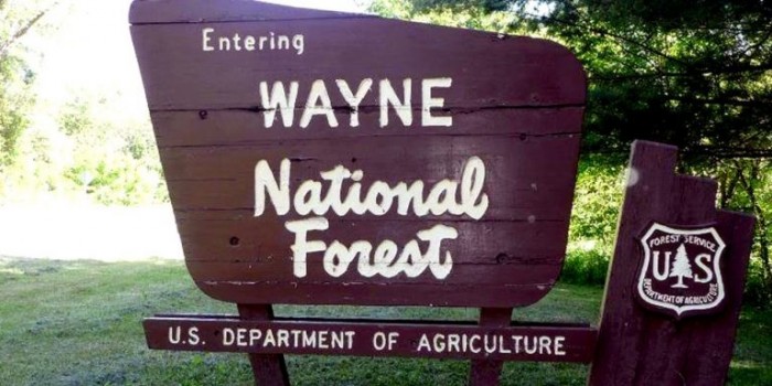 BLM To Lease Ohio’s Only National Forest To Fracking Interests