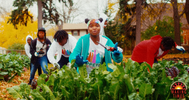 Urban Gardening Revolution Spreading With Help From Youth Music Video