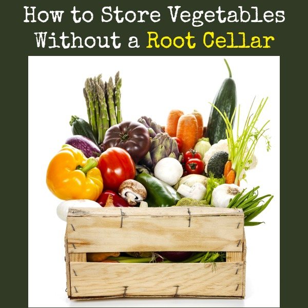 How to Store Vegetables Without a Root Cellar