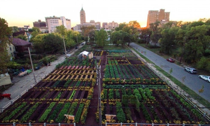 First Urban “Agrihood” In America Feeds 2,000 Households For Free