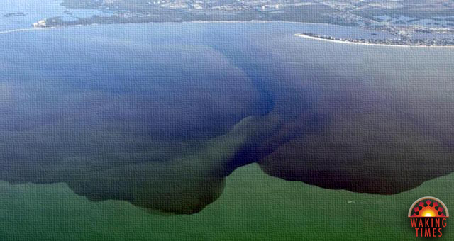 Florida’s Largest Lake is Slowly Being Poisoned, a Victim of Politics as Usual