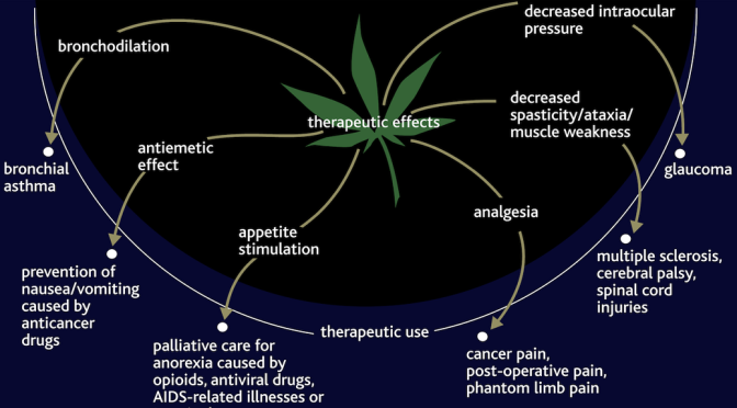 Cannabinoids Heal The Body