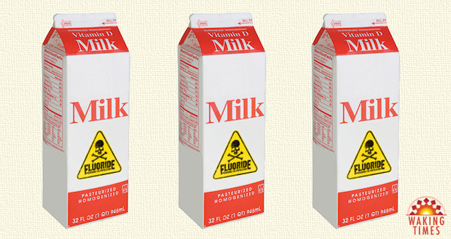 British Town Mass-Medicating School Children with Free Fluoridated Milk