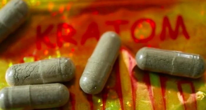 A US Kratom Ban Will Lead To An Enormous Public Health Crisis