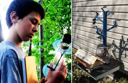 This 13-Year-Old Inventor Has Cracked The Secret Of Trees To Revolutionize Solar Energy