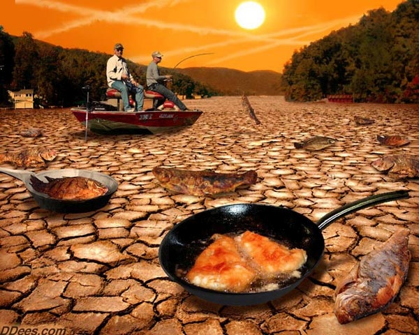 Stop Cooking – You’re Polluting the Environment