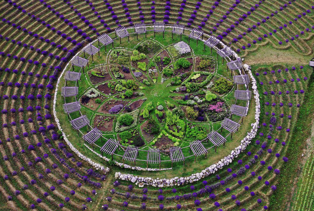 This Giant Lavender Labyrinth In Michigan Will Captivate ALL Of Your Senses