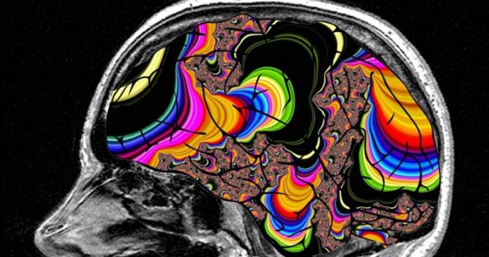 Study Reveals Why LSD Trips are So Long and How it Can Treat Depression and Schizophrenia