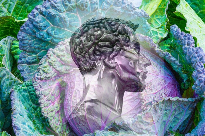 Eat Leafy Greens and Veggies to Keep Your “Crystallized Intelligence”