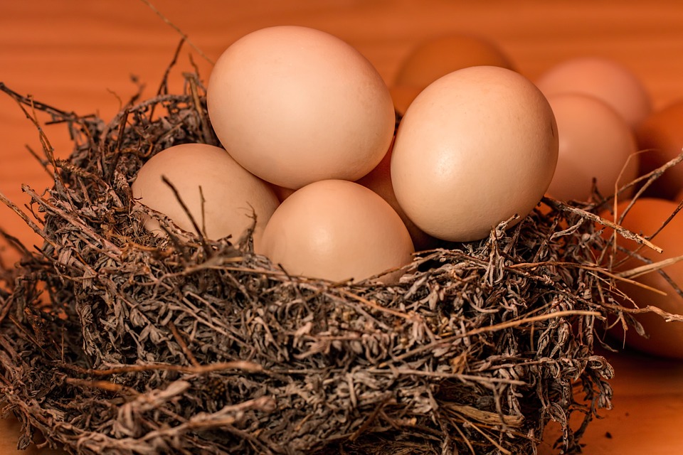 Healthy Eggs