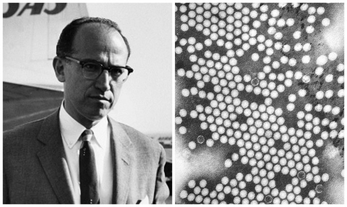 3 Polio Facts That The CDC Wishes You Didn’t Know