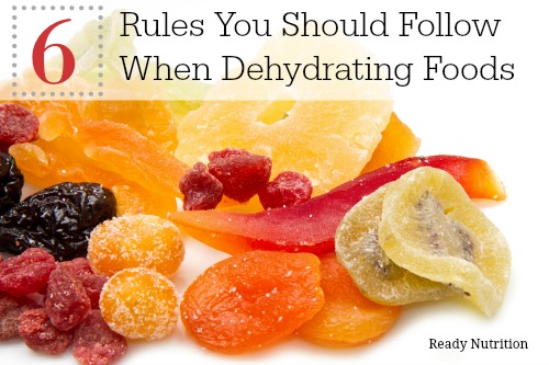 6 Rules You Need To Follow When Dehydrating Foods
