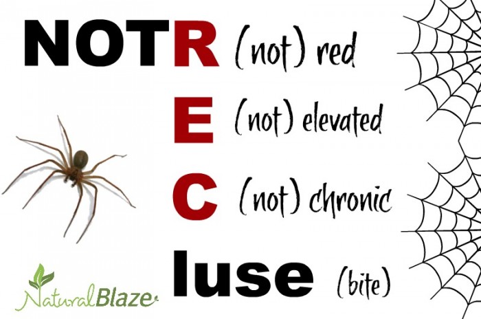 Remember This Mnemonic Device To Tell If You Have a Brown Recluse Bite