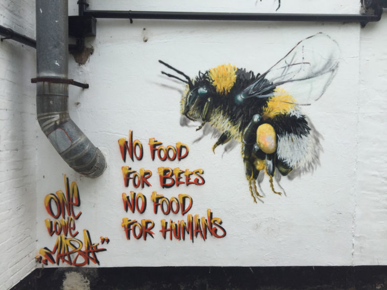 artist bees