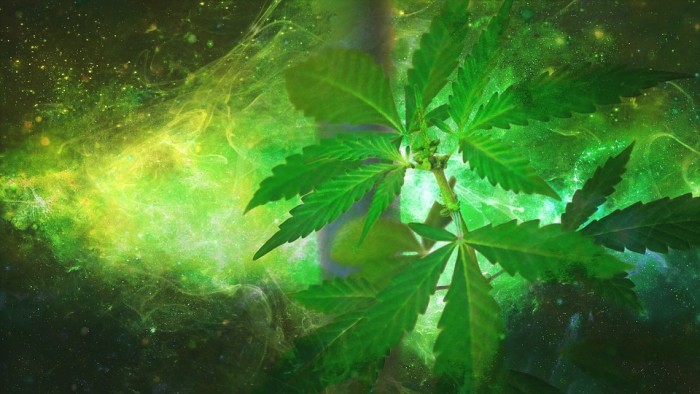 Here Are 100 Scientific Studies Proving Cannabis Cures Cancer