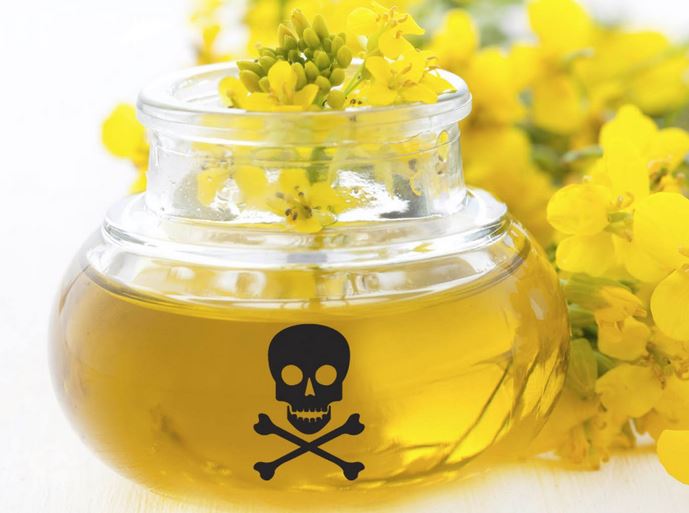 Organic Canola Oil: A Food Fallacy