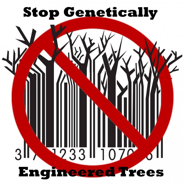 Global Gathering Takes Aim at Genetically Engineered Trees