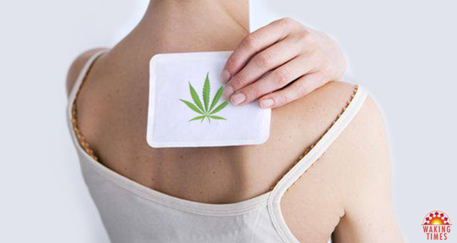 Cannabis Pain Patch Administers Therapeutic CBDs