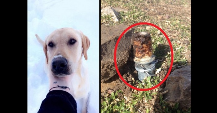 Idaho Family Outraged After USDA-Planted Cyanide Bomb Injures Kid, Kills Dog