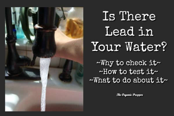 Is There Lead in your Water?
