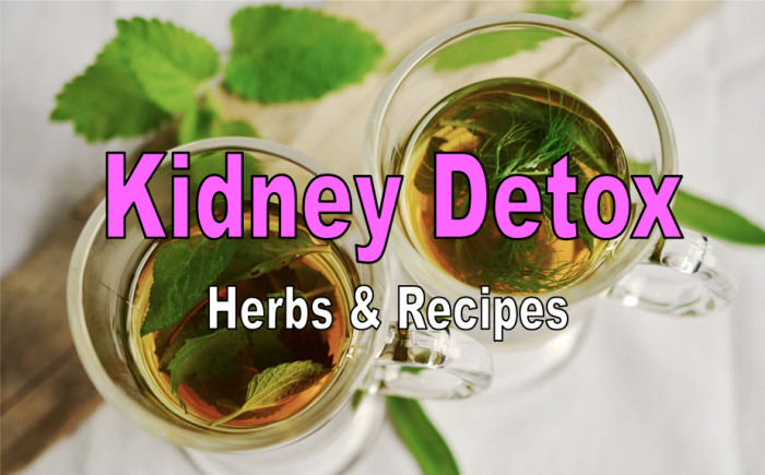 15 Best Kidney Detox Herbs and Recipes