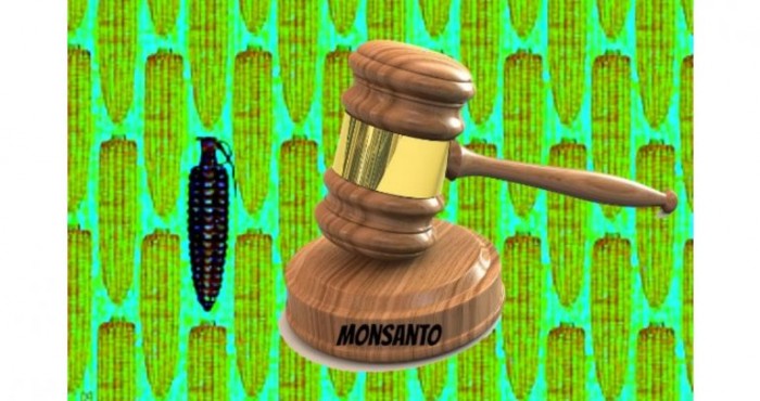 Breakthrough in Explosive Lawsuit Against Monsanto