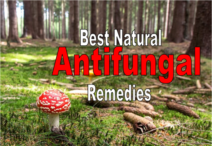 7 Best Natural Antifungal Remedies – Safe And Effective For Any Kind Of Fungal Infection