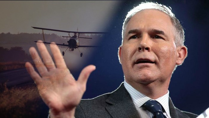 EPA Chief Rejects Agency’s Own Science, Won’t Ban Toxic Insecticide in Your Food