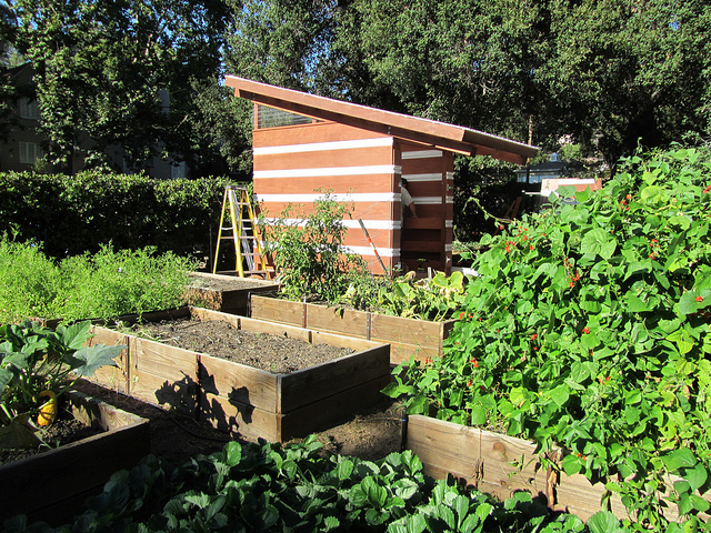 How Renewable Agriculture Can Save Our Cities and Our Soils