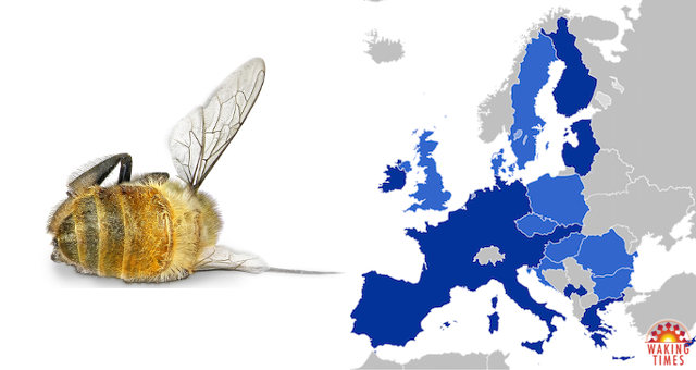 Europe is on the Brink of Completely Banning Bee-Killing Insecticides
