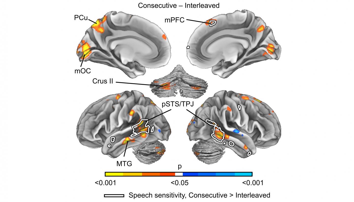 brains multitasking