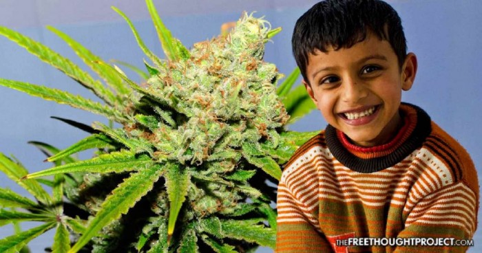 First of Its Kind Study Finds Cannabis May Be a “Miracle” Treatment for Autistic Kids
