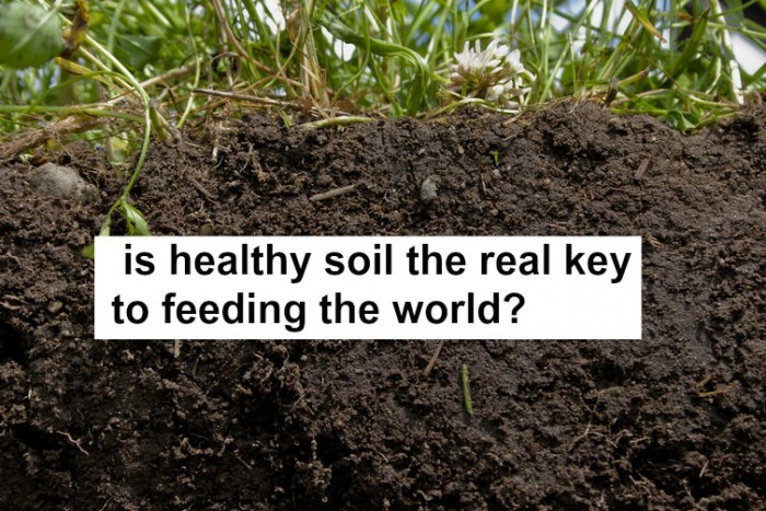 Healthy soil is the real key to feeding the world