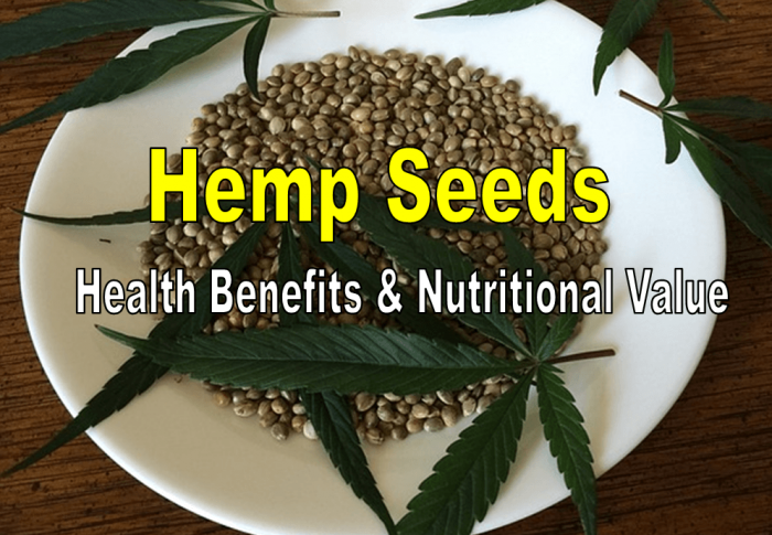Hemp Seeds Help Fight Cancer, Cardiovascular Disease, and Skin Disorders