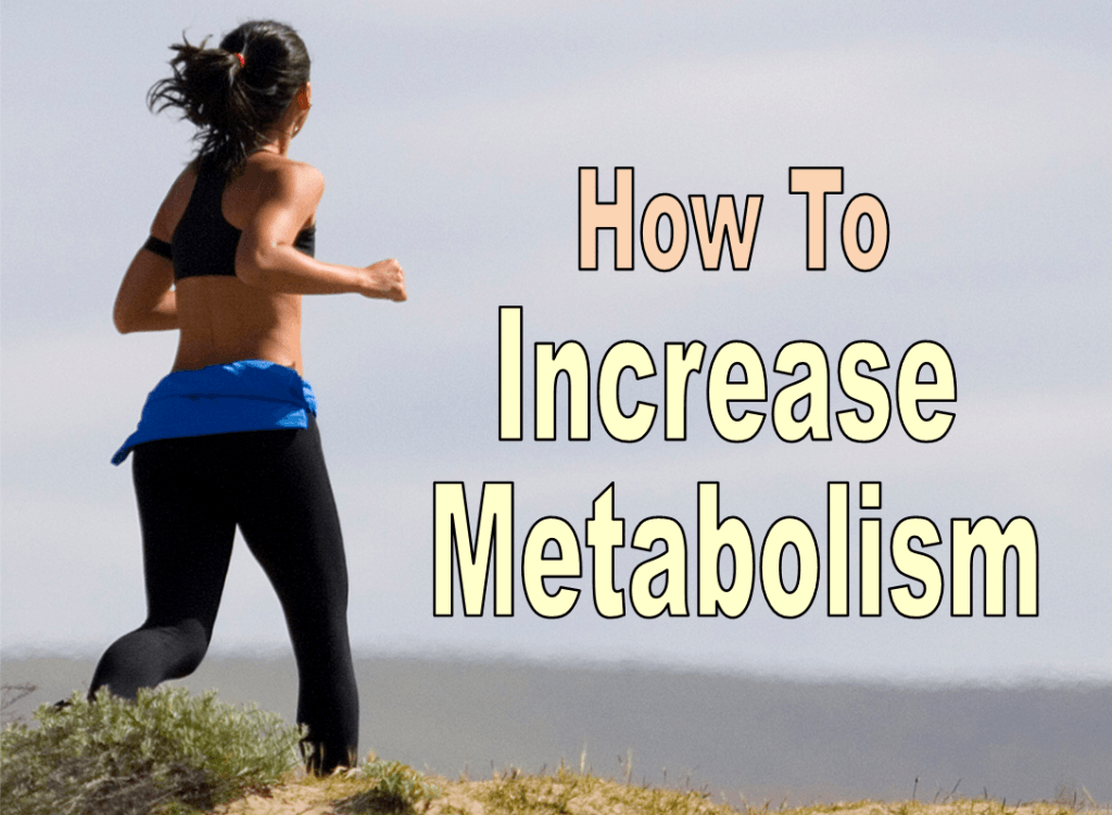 increase metabolism increase metabolism