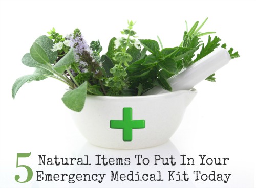 5 Natural First Aid Items To Put In Your Emergency Medical Kit Today