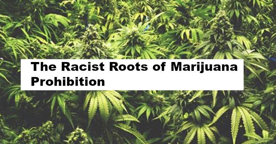 a review of war against marijuana Senate bill would effectively end the federal war on medical marijuana public health service review against prohibition and. a review of war against marijuana Senate bill would effectively end the federal war on medical marijuana public health service review against prohibition and.