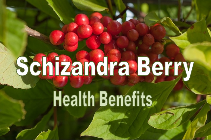 5 Amazing Schizandra Health Benefits, Uses and Recipes