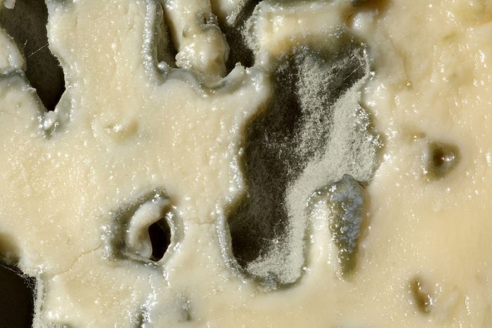 Even If You See Mold, These Foods Are Still Edible