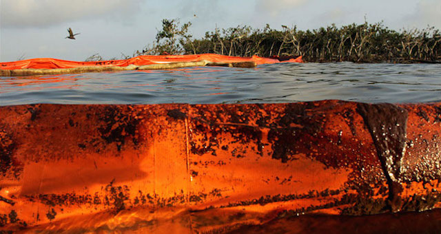 The Forgotten Island Destroyed by the Gulf Oil Spill
