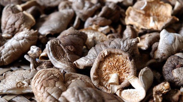 Mushroom Powders Linked To Heart Health Benefits
