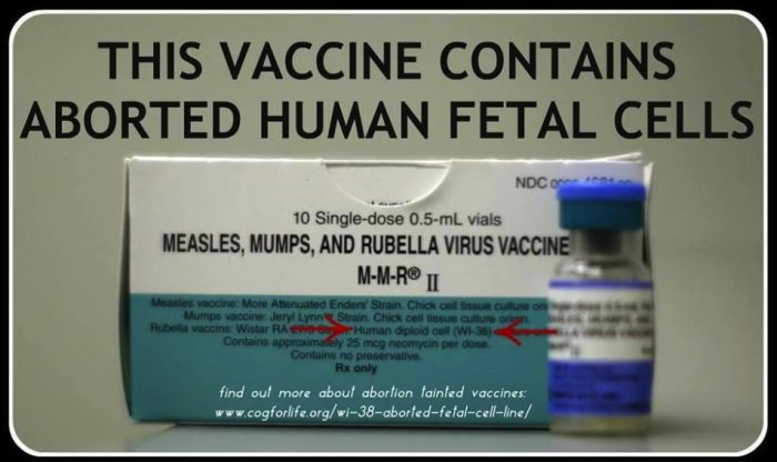 Aborted Human DNA and Fetal Calf Blood Are Ingredients In Children’s Vaccines