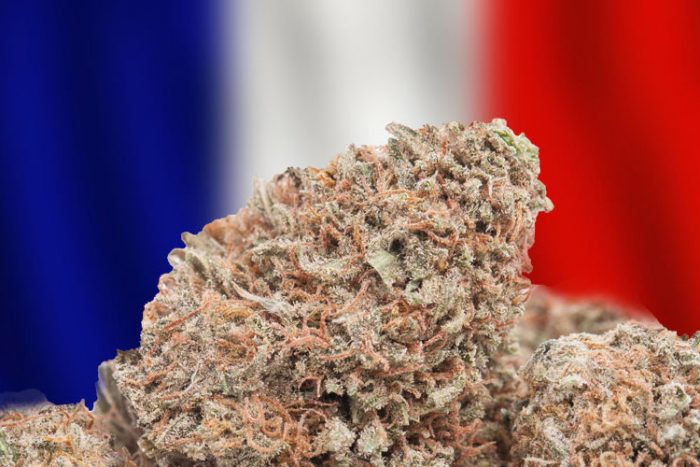 France To Effectively Decriminalize Cannabis By Ending Prison Terms