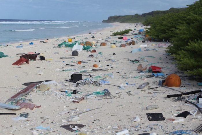 38 Million Pieces of Plastic Found on Uninhabited Island in the South Pacific