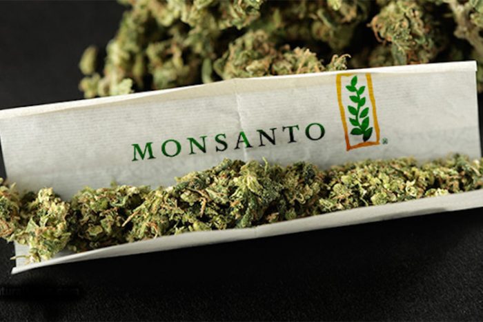 Monsanto and Bayer are Maneuvering to Take Over the Cannabis Industry