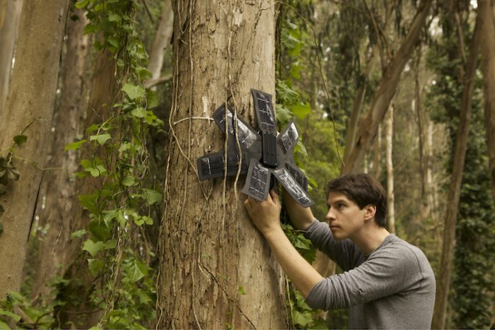 Activists Deploying Recycled Solar Powered Cell Phones in Fight to Save Rainforests