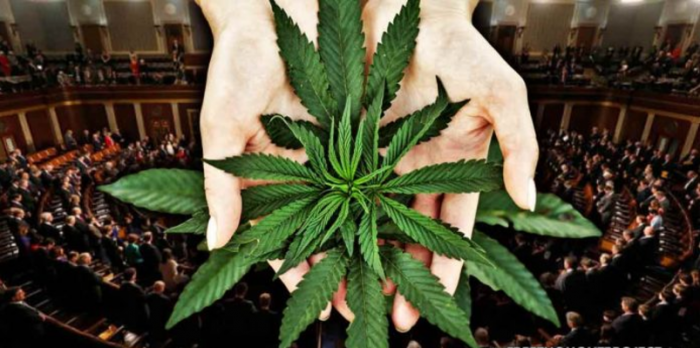 Republicans & Democrats Join Together in Senate to Legalize Pot on Federal Level