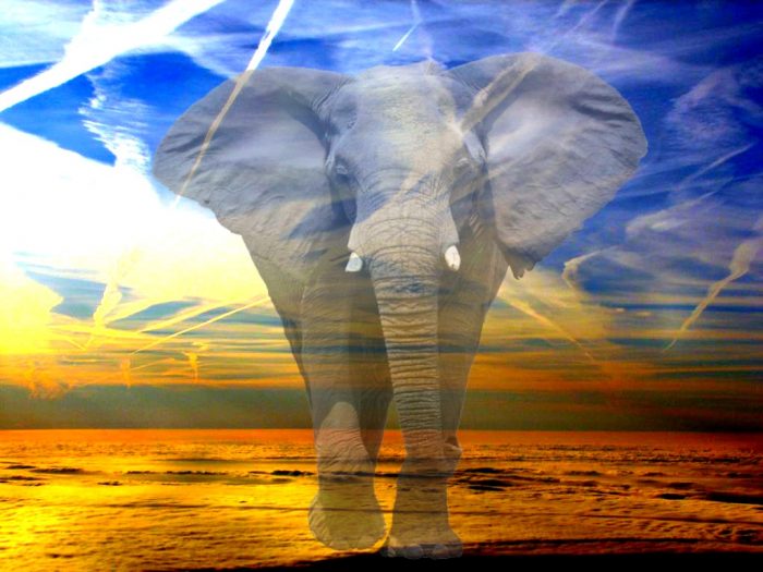 The Elephant in the Sky: Chemtrails, Contrails and Climate Engineering