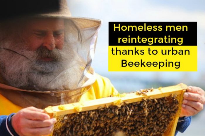 Homeless Men Are Reintegrating Through Urban Beekeeping